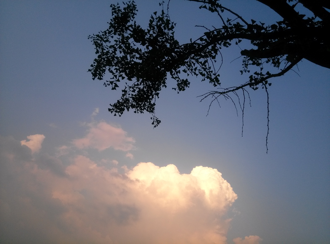 IMG_20130728_192434.jpg