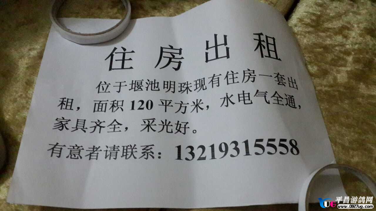 QQ图片20130818141951.jpg