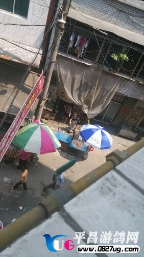 IMG20130821113044.jpg