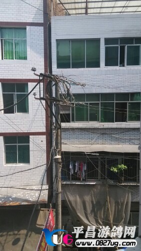 IMG20130821113059.jpg