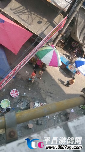 IMG20130821113053.jpg