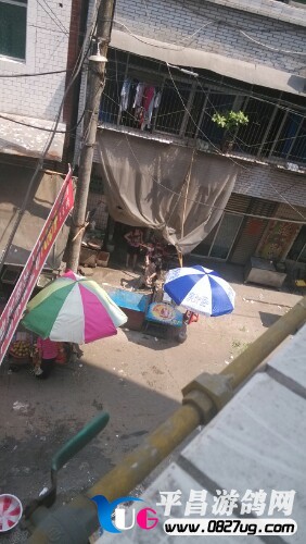 IMG20130821113112.jpg