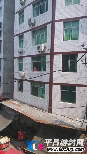 IMG20130821113131.jpg