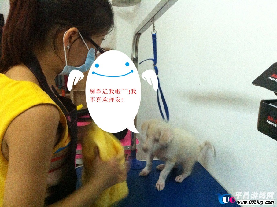 QQ图片20130901164841_副本.jpg