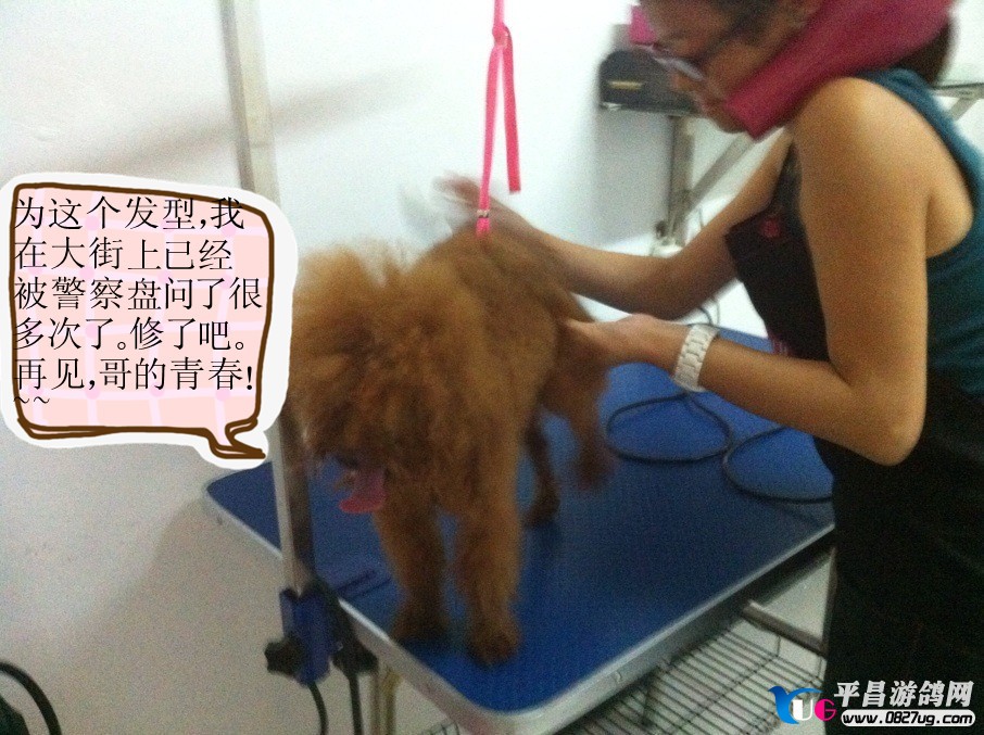 QQ图片20130901164832_副本.jpg