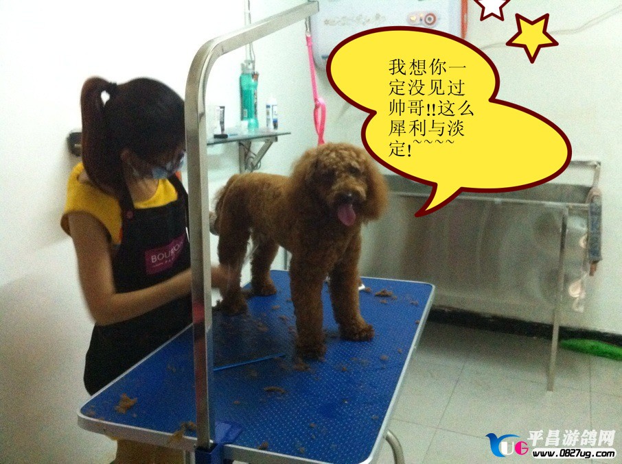 QQ图片20130901164815_副本.jpg