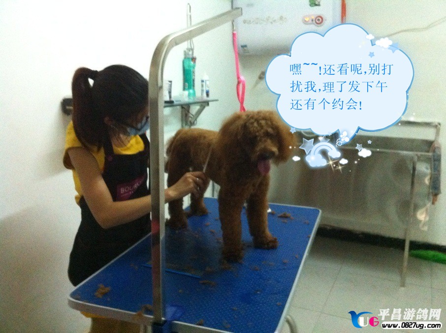 QQ图片20130901164820_副本.jpg