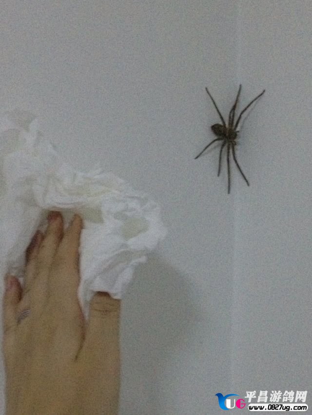 挂房间.jpg