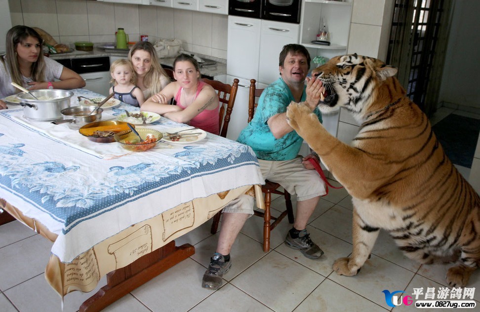 QQͼƬ20130927141411.jpg
