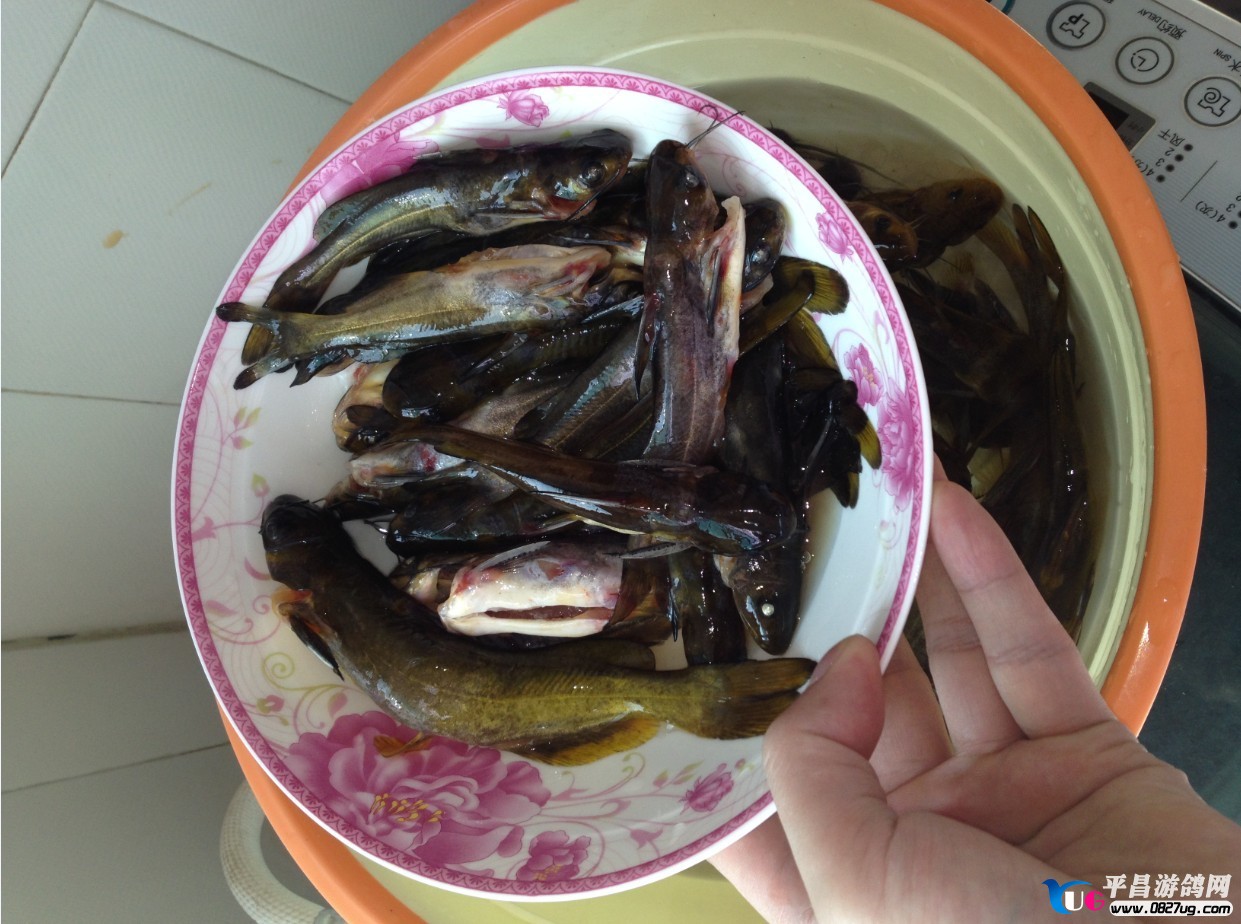 QQͼƬ20130930151919.jpg