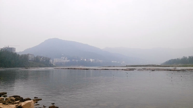 IMG_20131005_145215.jpg