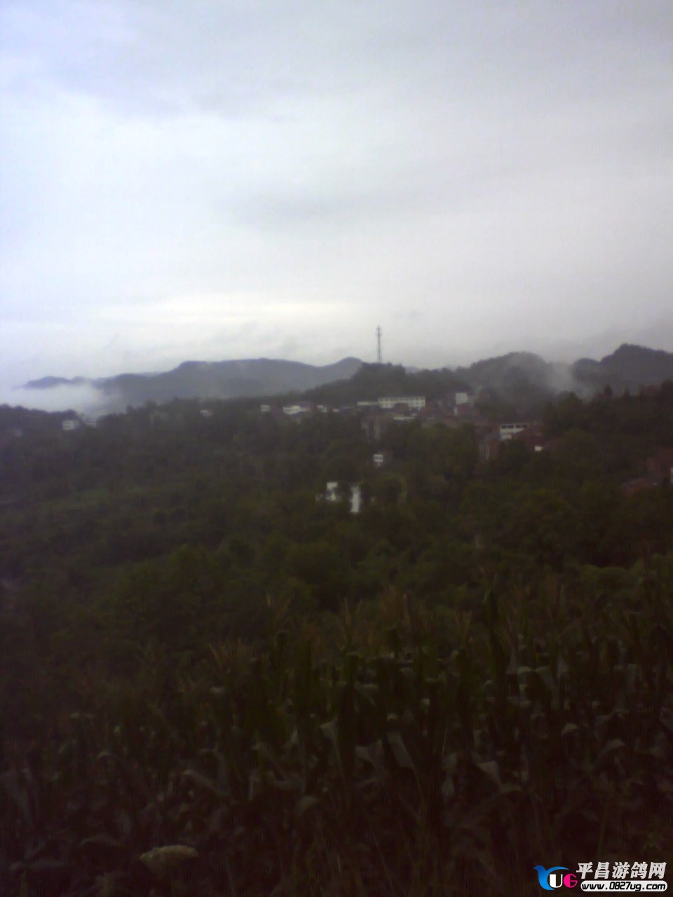 20009