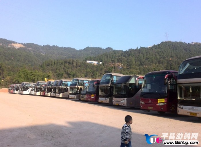 190834l110wquo9y04hcuy.jpg