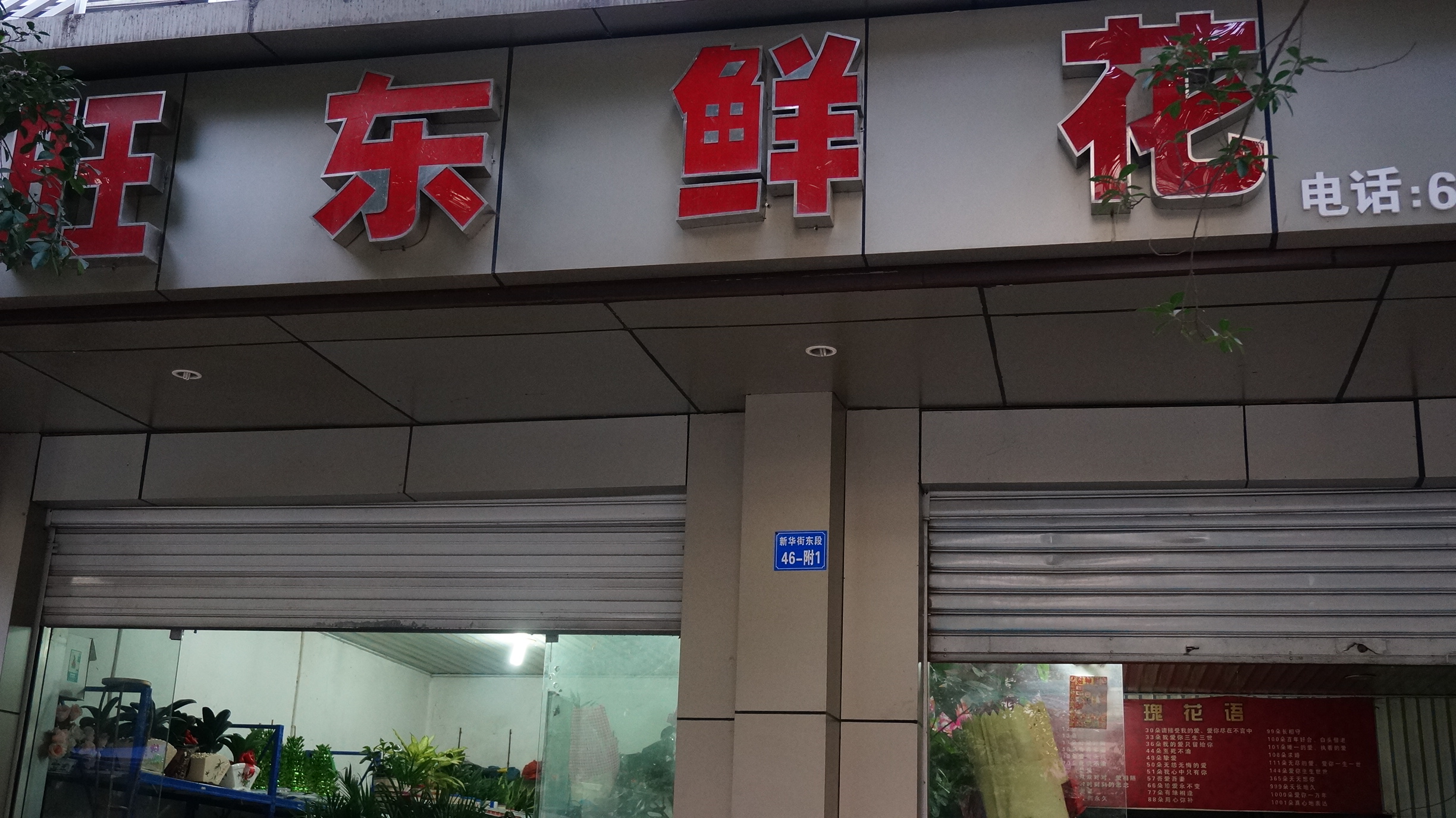 DSC01005.JPG