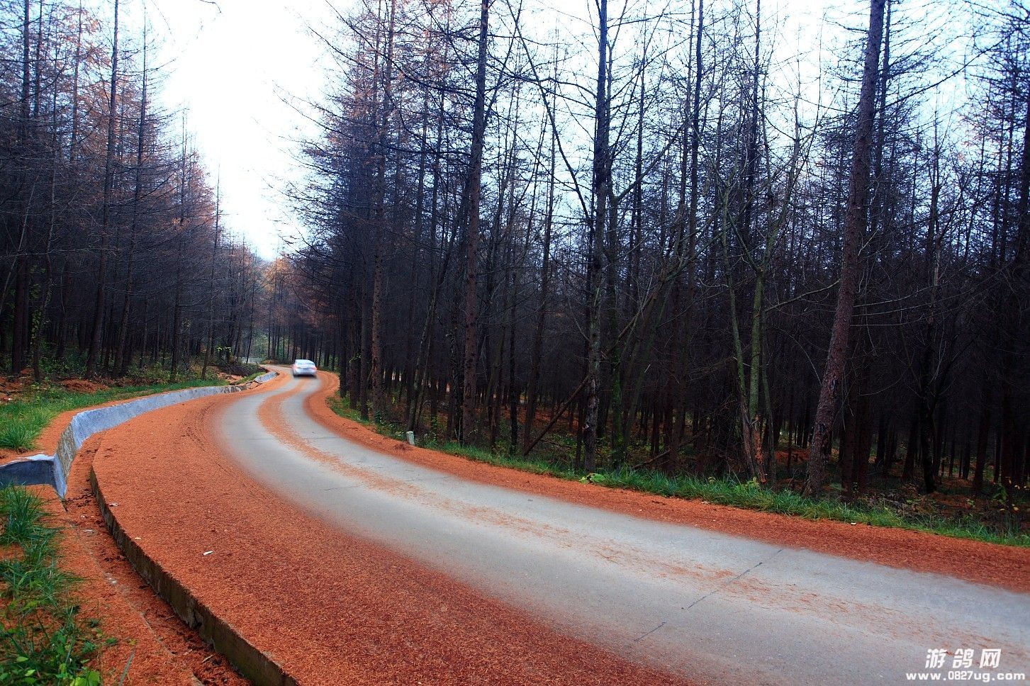 QQͼƬ20131110202443.jpg