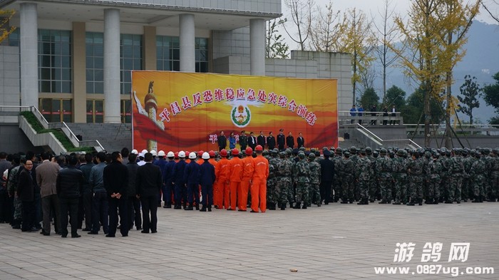 各路兵哥哥齐聚