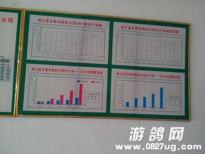 IMG_20131105_121257.jpg