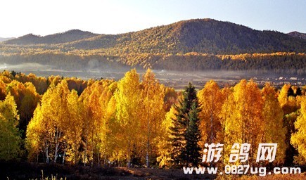 林259.jpg