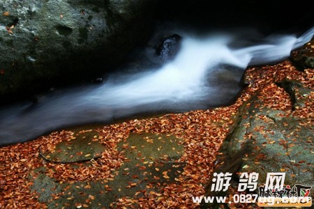 163245awl3bfq3waotbp7q.jpg