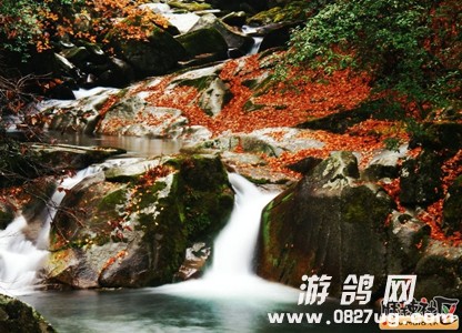 163311zuzuc0zptxwpcyww.jpg
