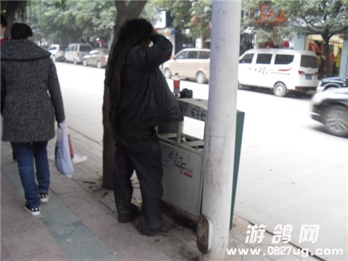 SDC13919.jpg