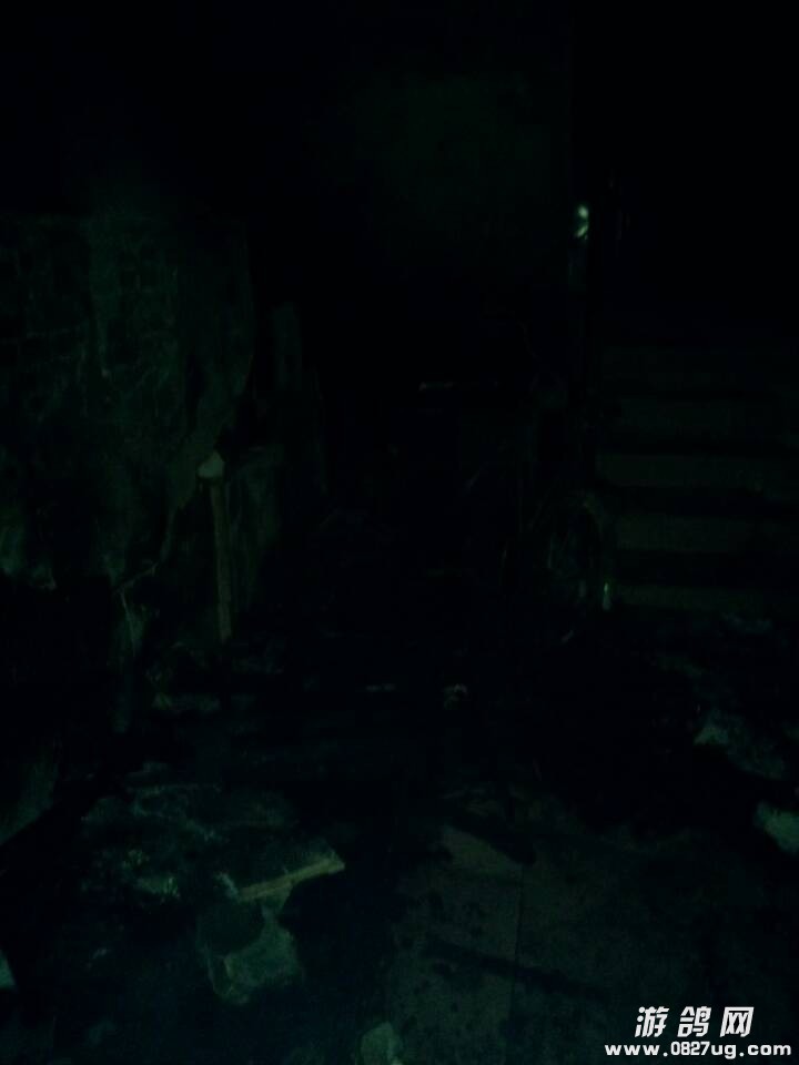 QQͼƬ20131204173521.jpg