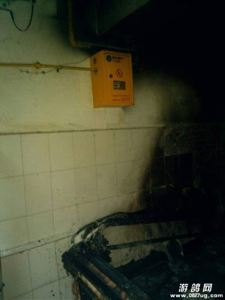 QQͼƬ20131204173542.jpg