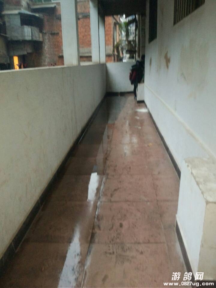 QQͼƬ20131204173545.jpg