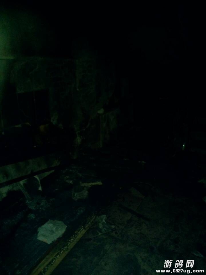 QQͼƬ20131204173557.jpg