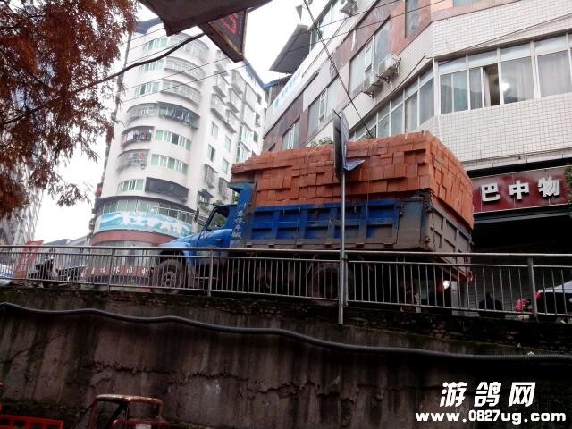 IMG_20131215_164633.jpg