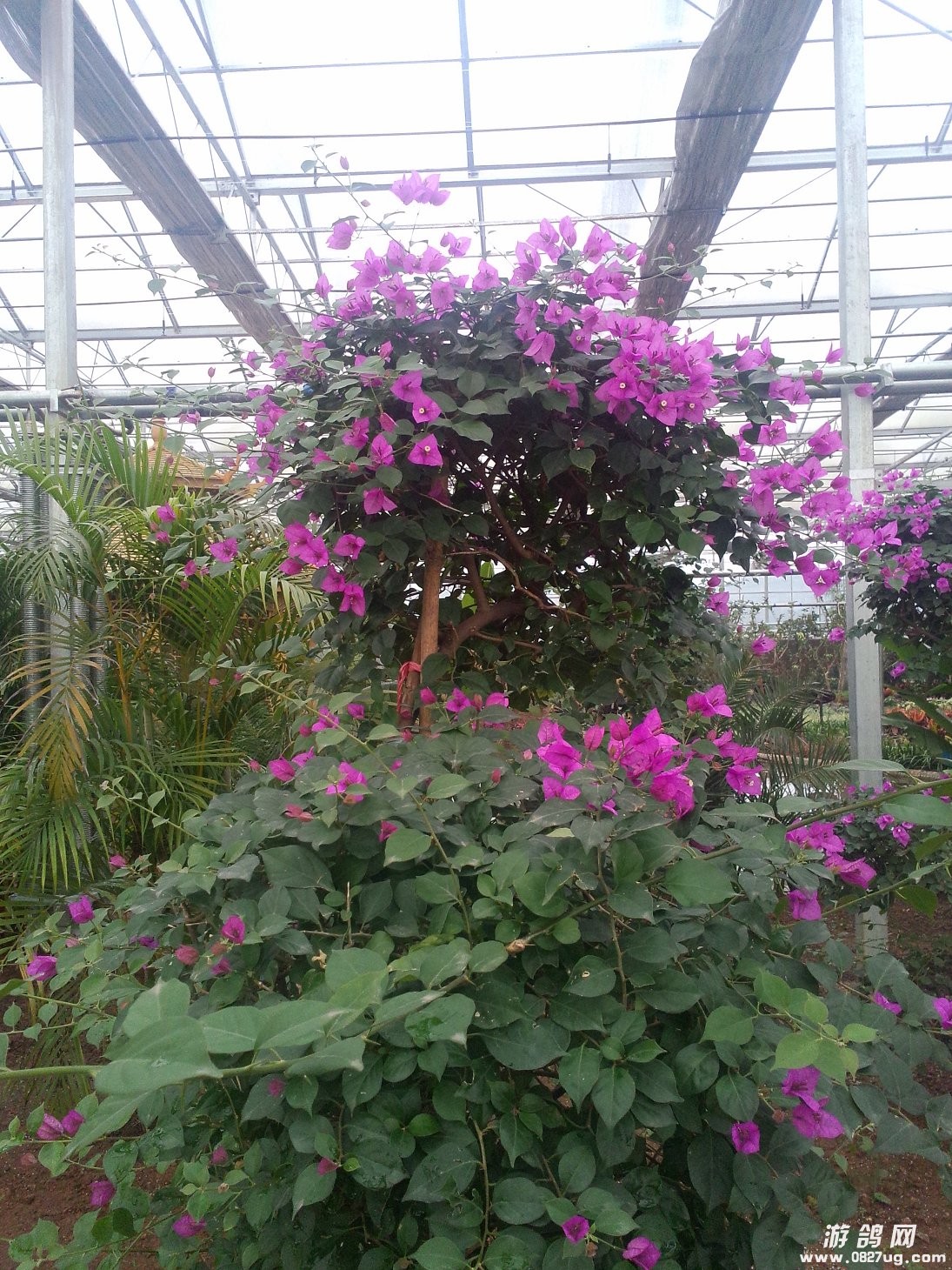 IMG20131221031.jpg