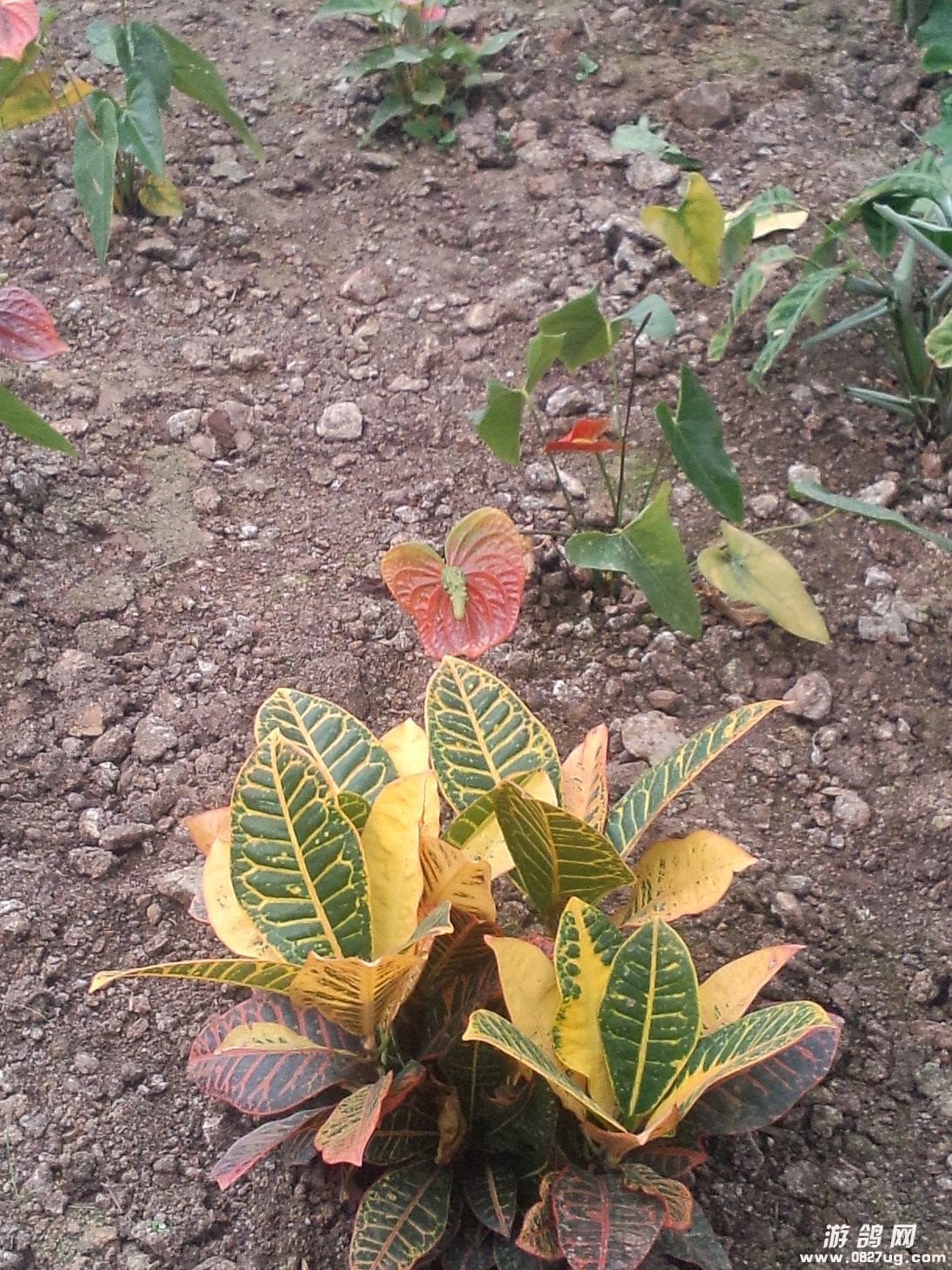 IMG20131221046.jpg
