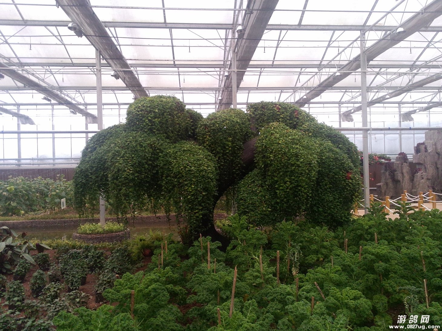 IMG20131221068.jpg