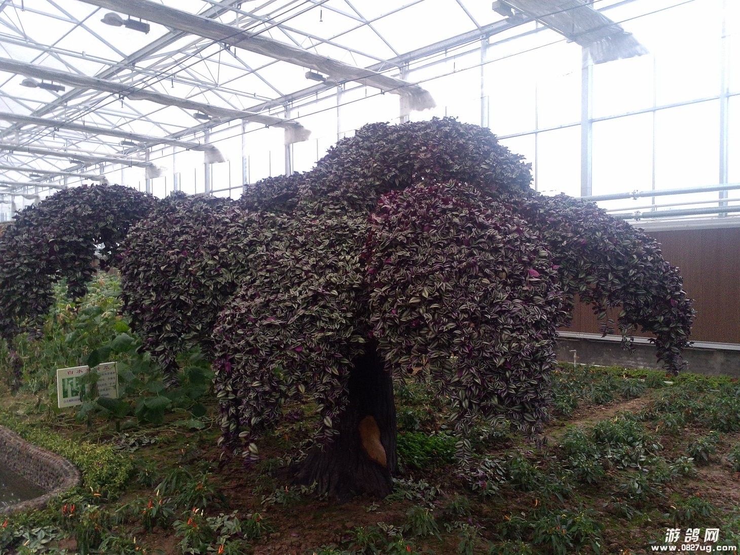 IMG20131221070.jpg