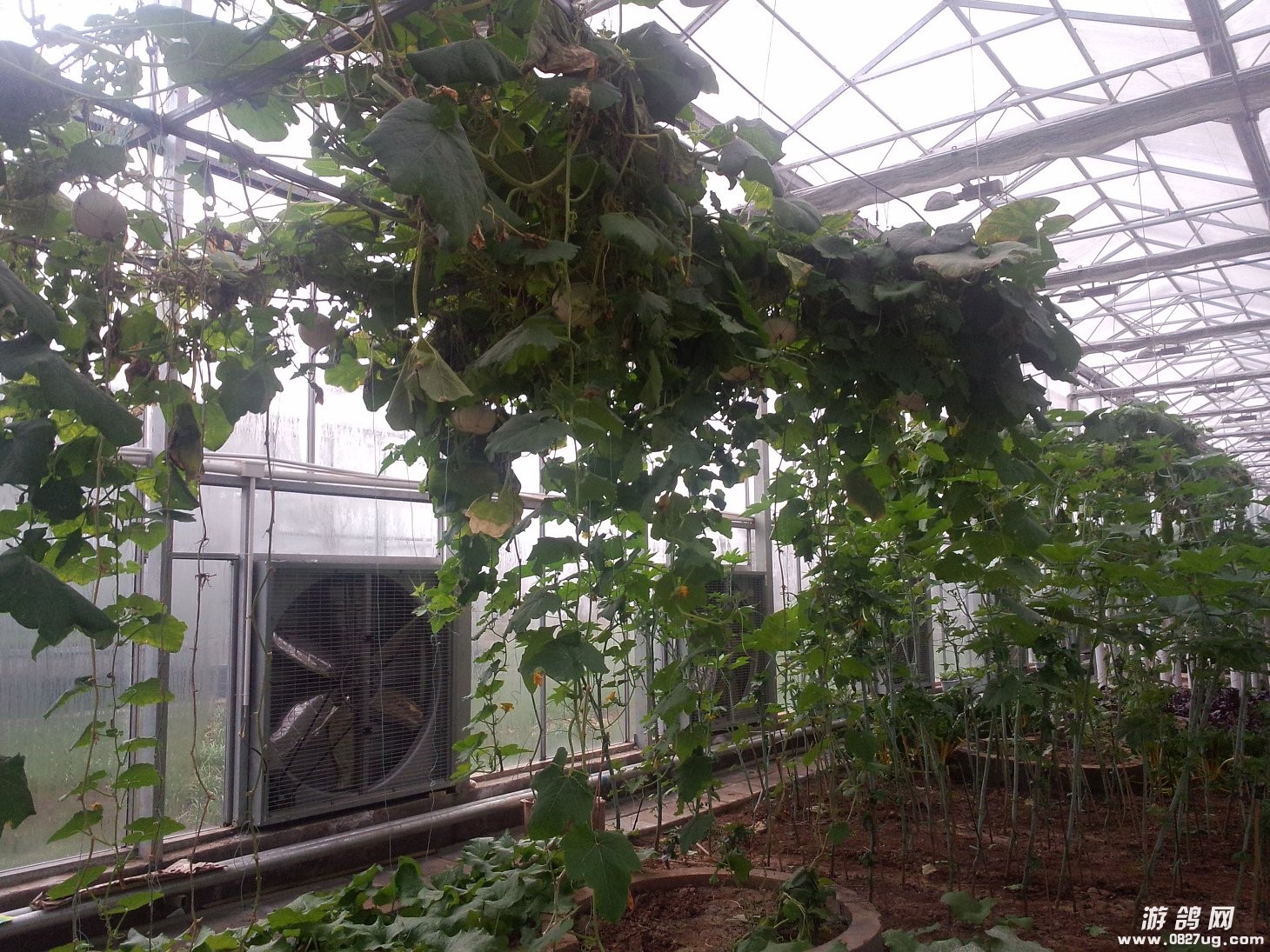 IMG20131221090.jpg