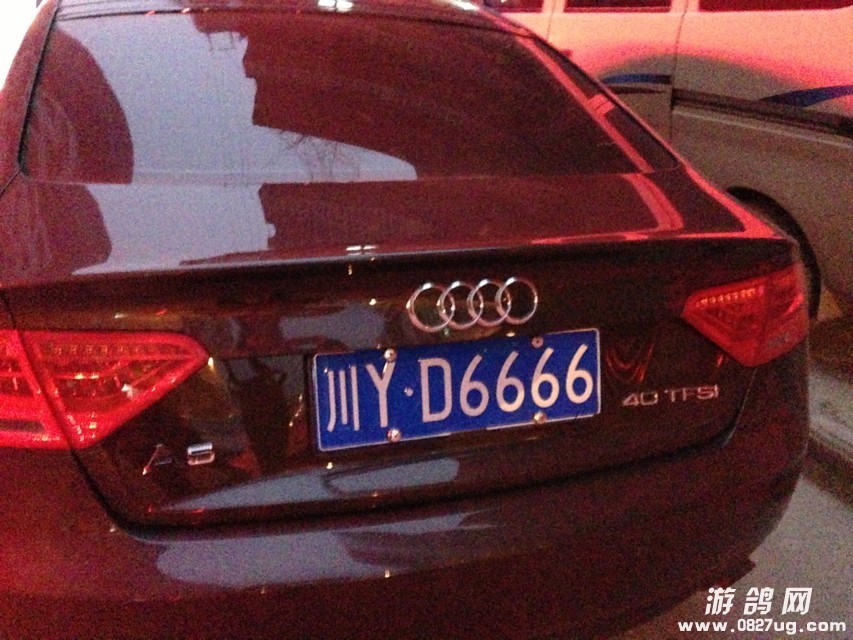 5465431.jpg