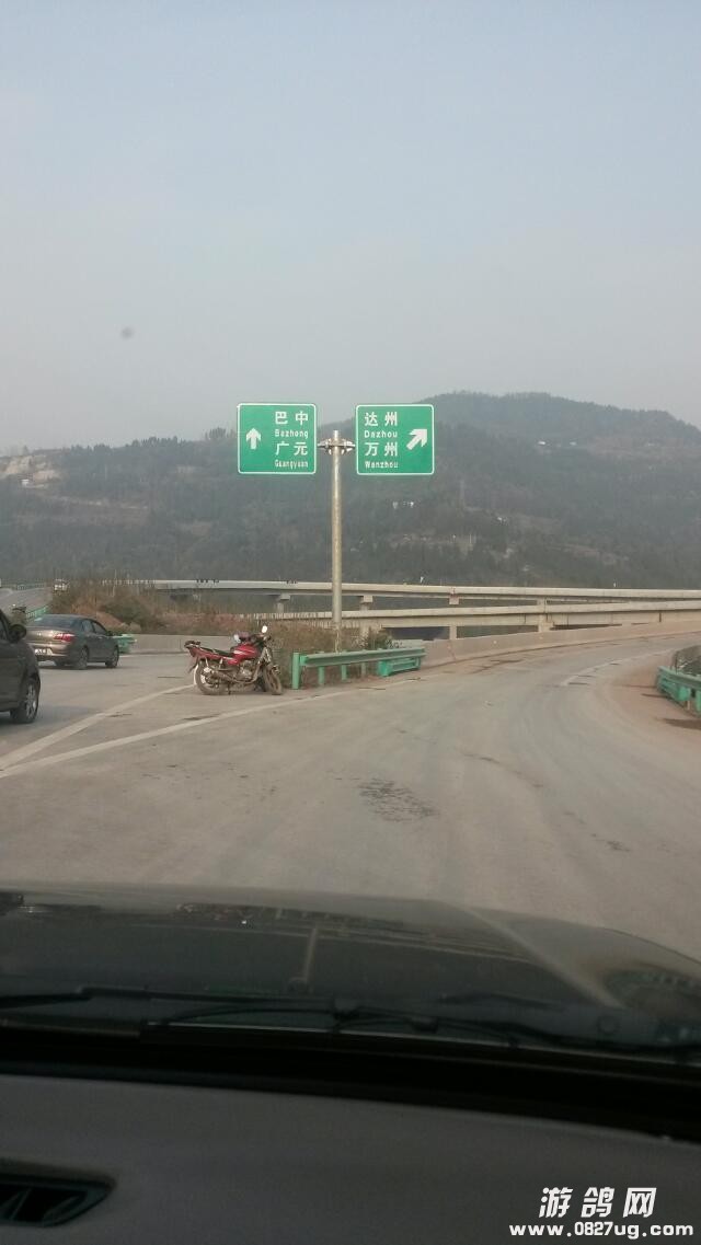 2132132165.jpg