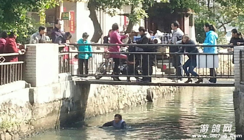 QQ图片20131231152157.jpg
