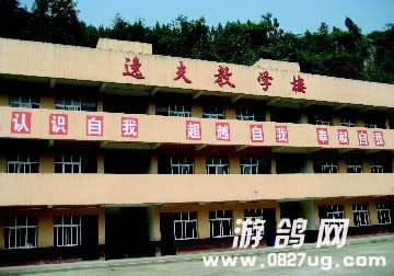 07df111f5035b6a6332e0b3a740cc5b4.jpg