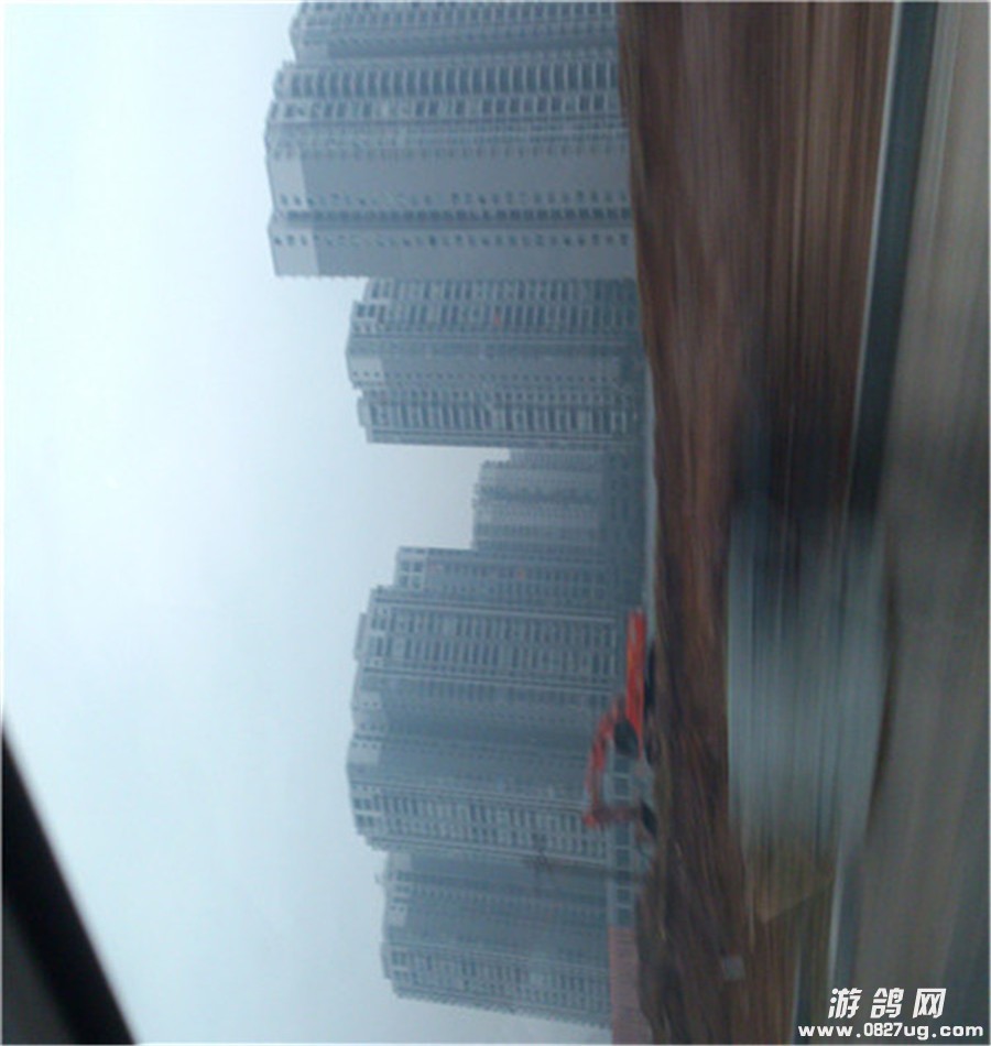 DSC_0617.jpg