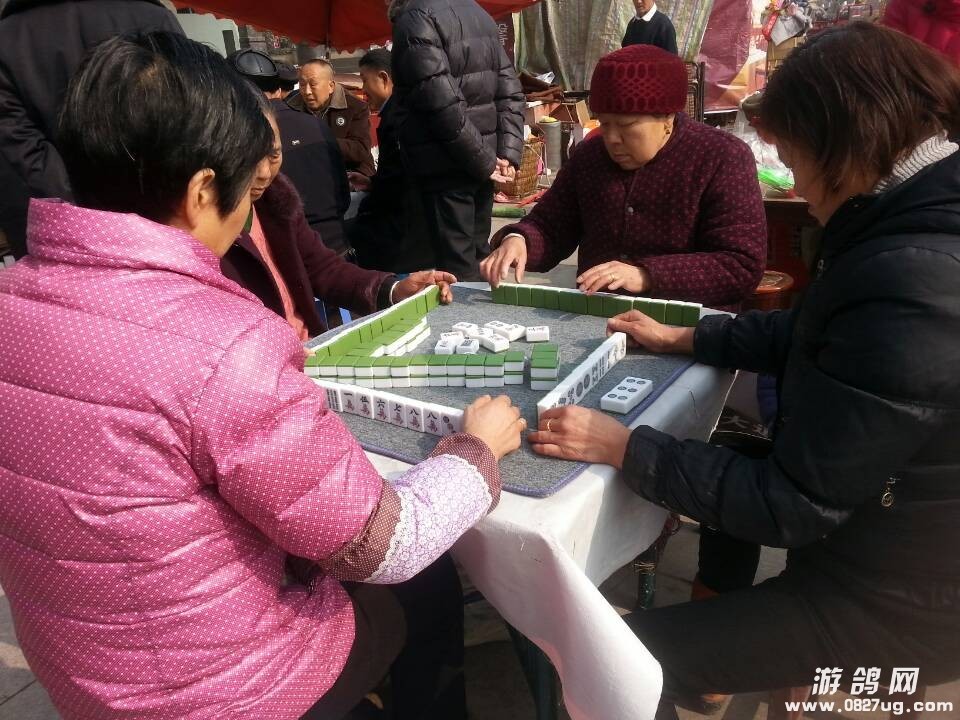 QQͼƬ20140120140206.jpg