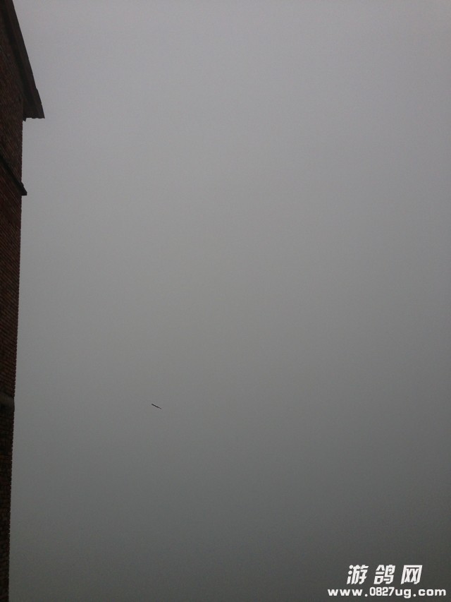 354635465.jpg