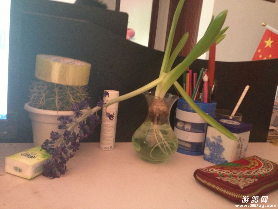 QQͼƬ20140401145944.jpg