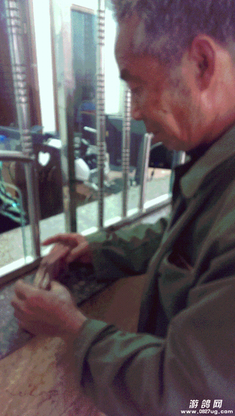 IMAG0140.GIF