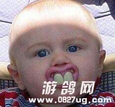 235020ml3sn99hhdc9lnhs.jpg