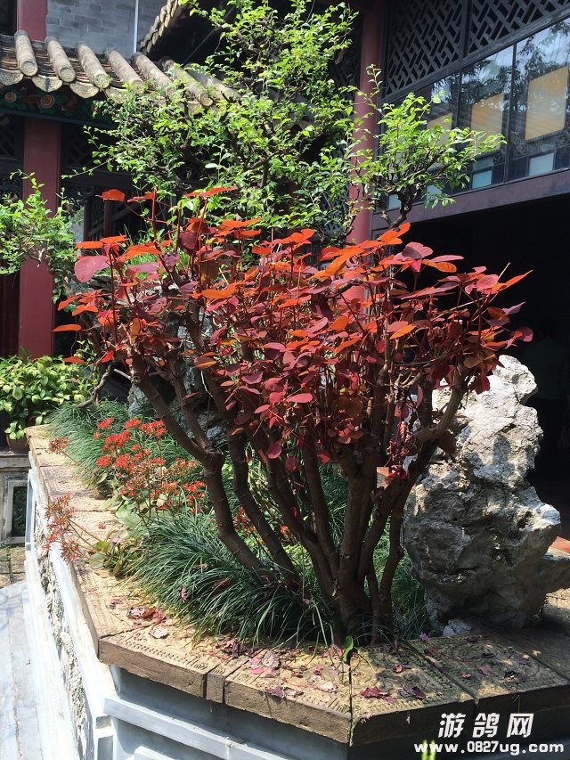 26.쾰ֲ.jpg