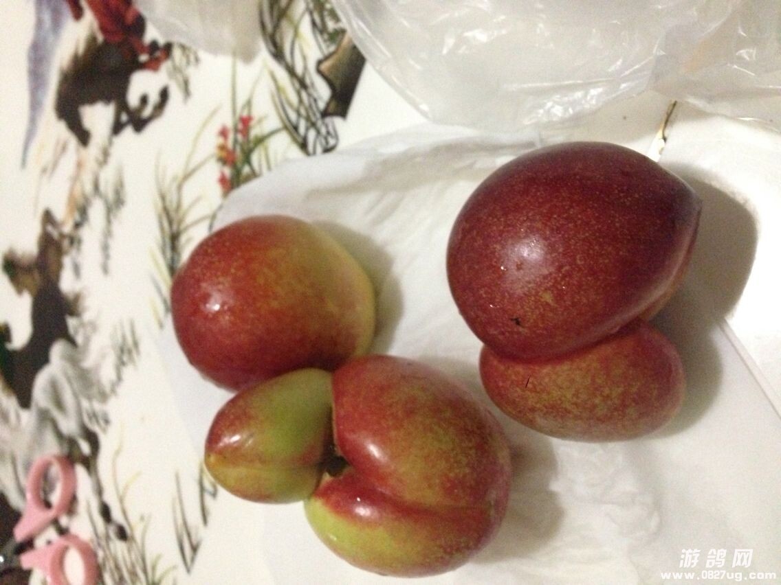 QQͼƬ20140609101212.jpg