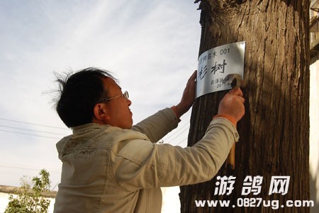 201082124825.jpg