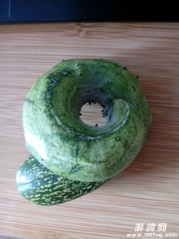 2000.jpg4.jpg