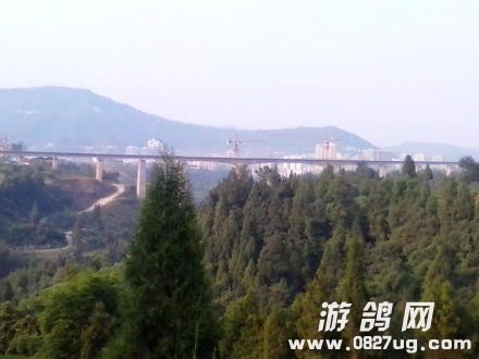 d18f4a29gw1ei95akwtijj20np0hs0u3.jpg